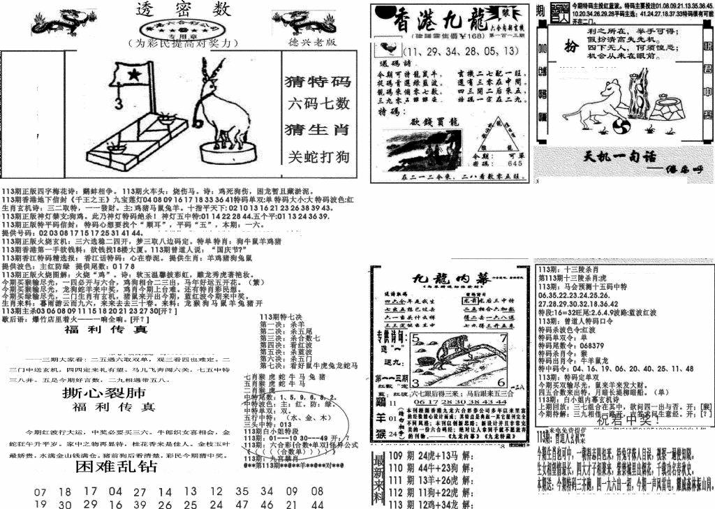 六合彩113期新透密数A(新)(黑白)
