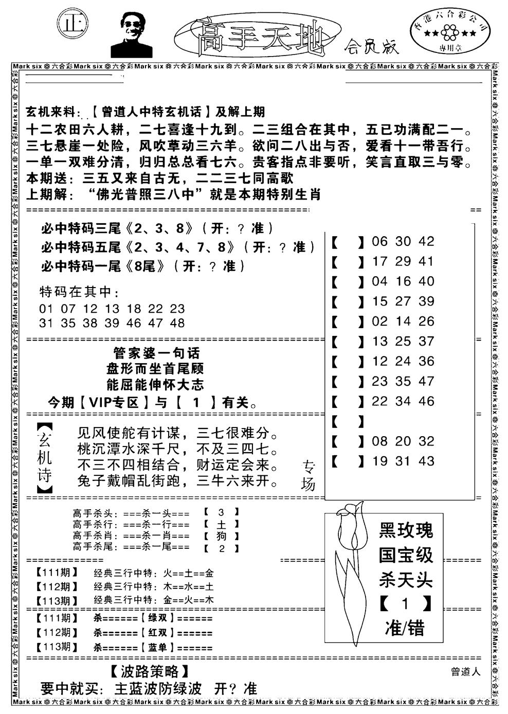六合彩113期高手天地(黑白)