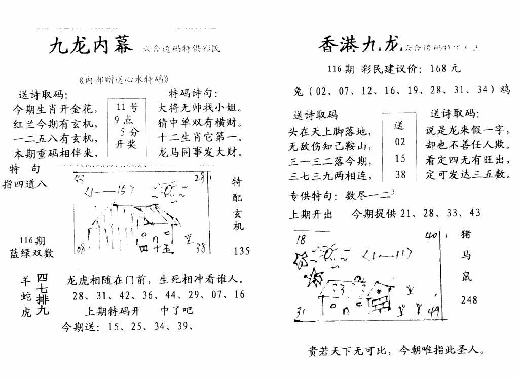 六合彩116期手写九龙内幕B(黑白)