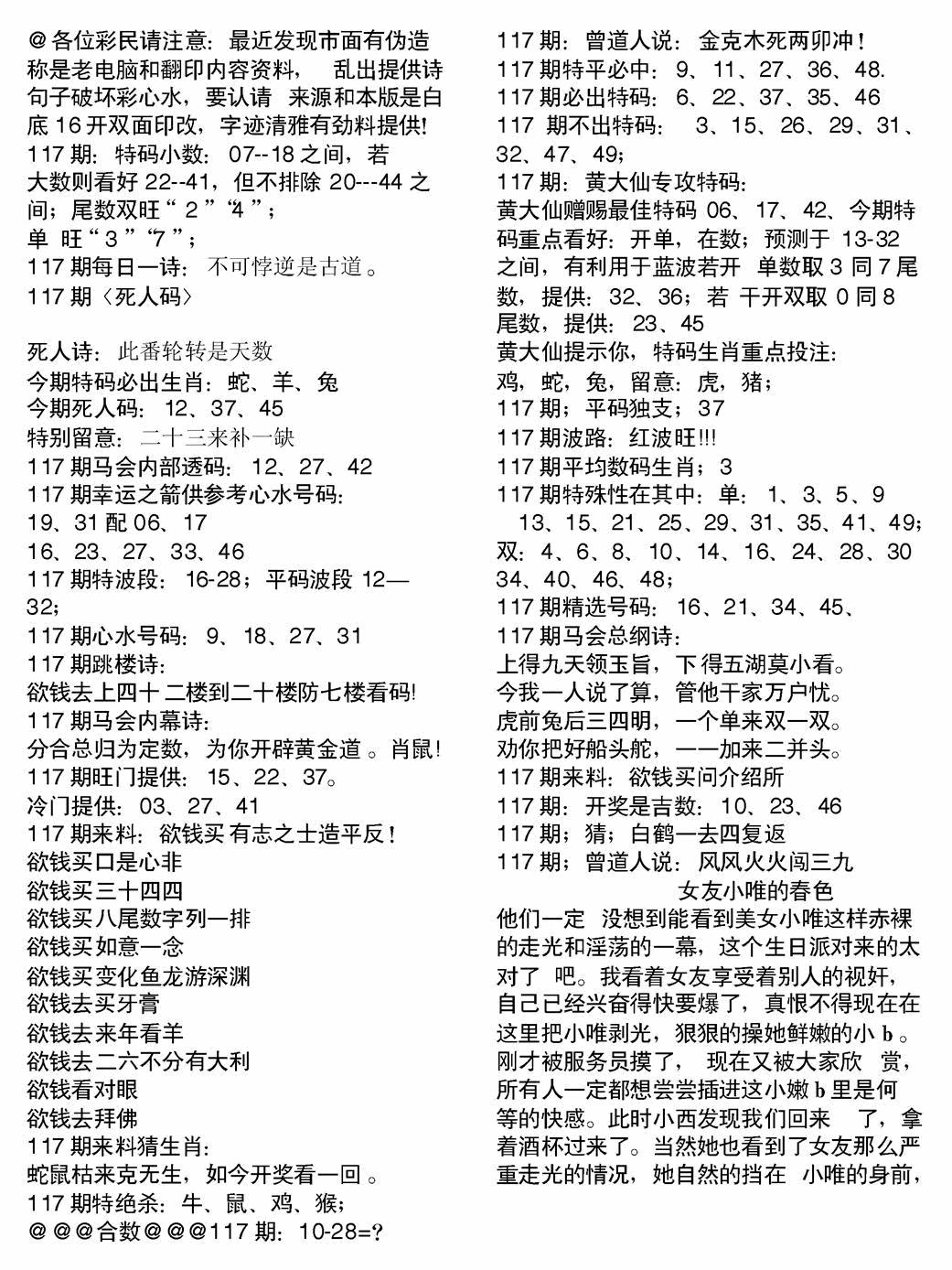 六合彩117期当日电脑综合资料B(黑白)