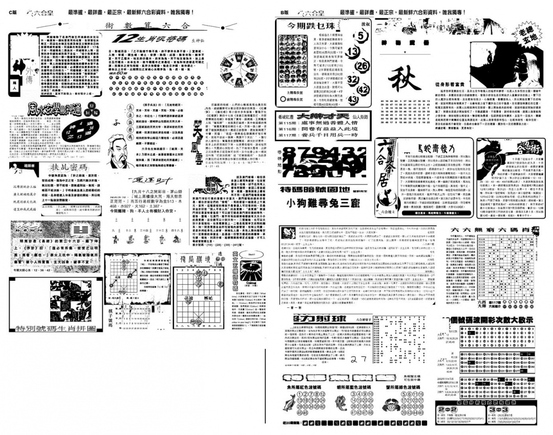 六合彩117期另版六合皇B(黑白)