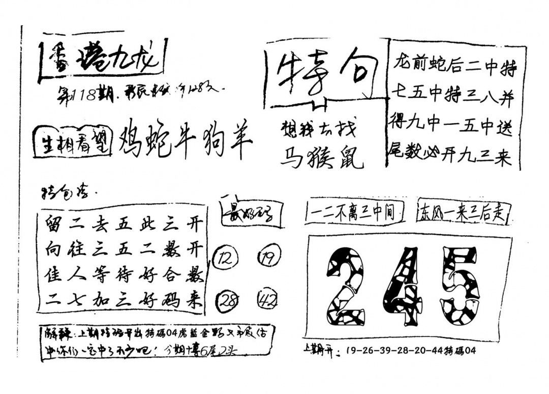 六合彩118期香港九龙(新图)手写(黑白)