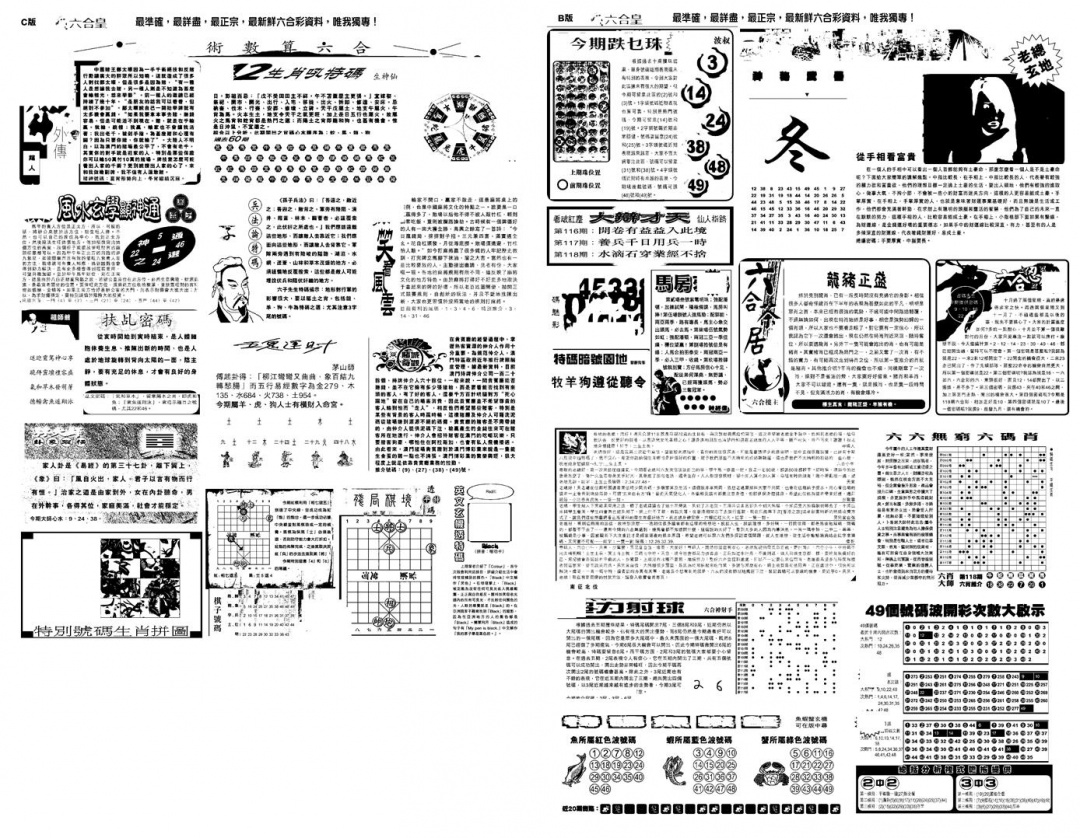 六合彩118期另版六合皇B(黑白)