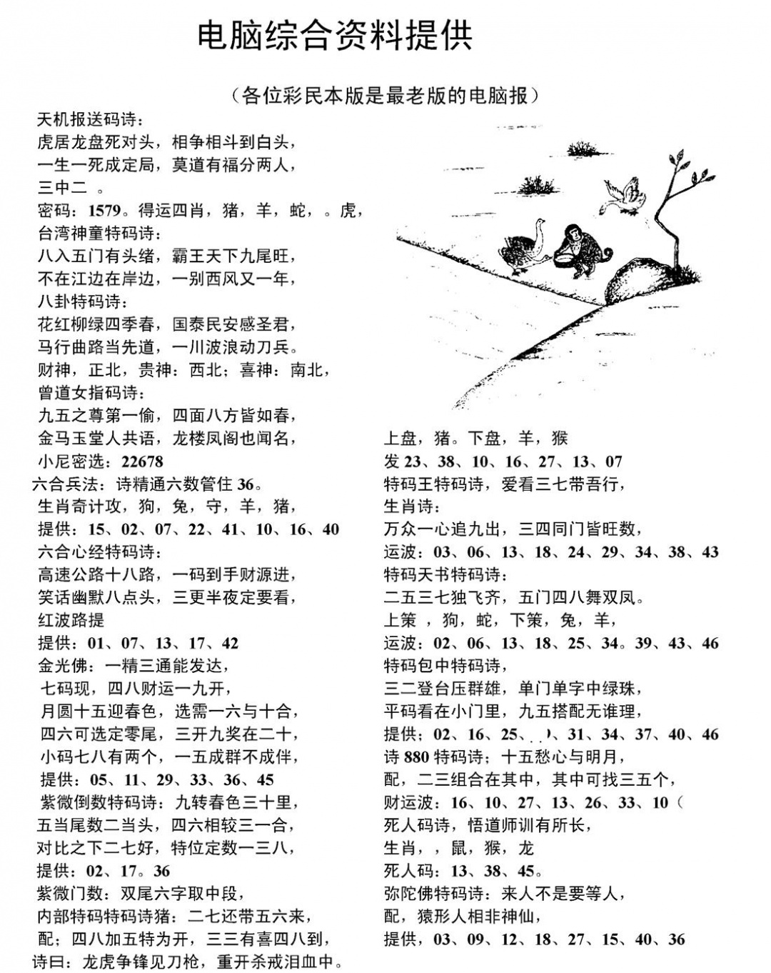 六合彩119期当日电脑综合资料D(黑白)