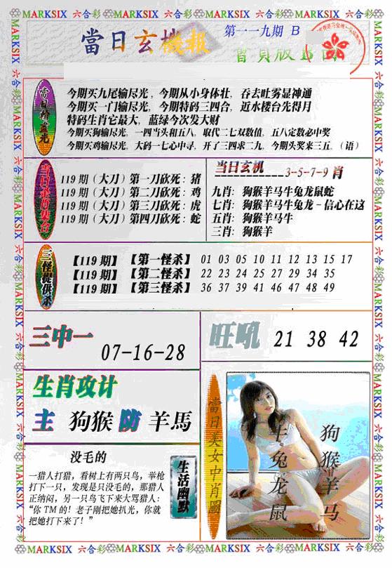 六合彩119期当日特码玄机B(新)(黑白)