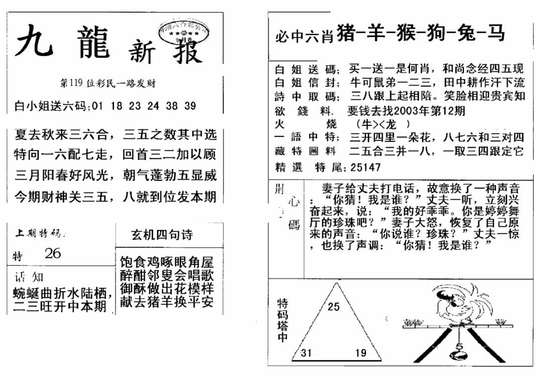 六合彩119期九龙新报(新)(黑白)