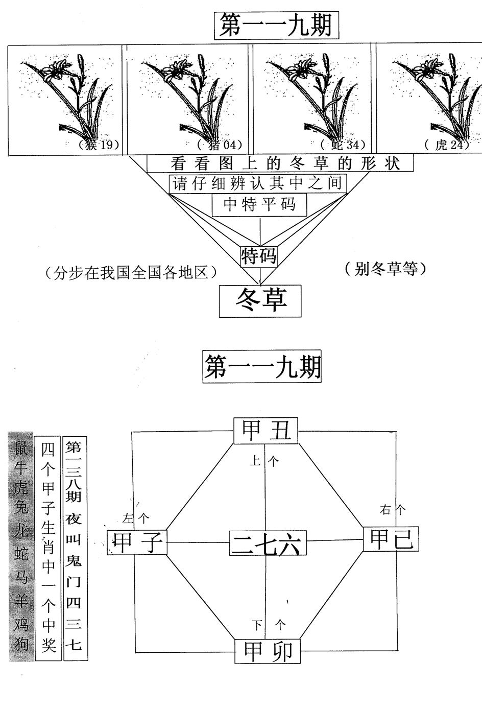 六合彩119期每期一花草(黑白)