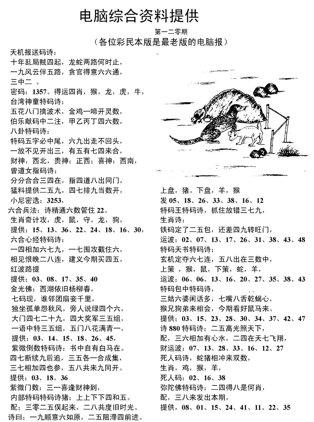 六合彩120期当日电脑综合资料C(黑白)