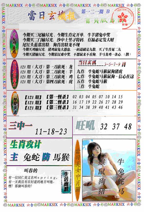 六合彩121期当日特码玄机B(新)(黑白)