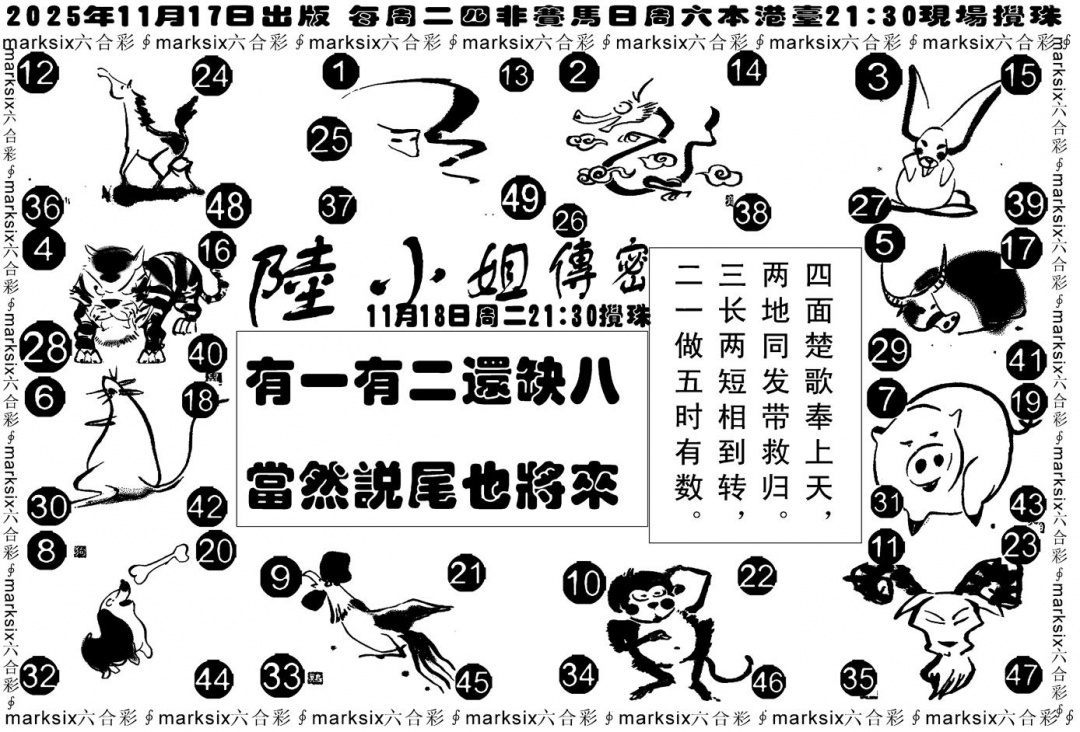 六合彩123期陆小姐传密B(黑白)