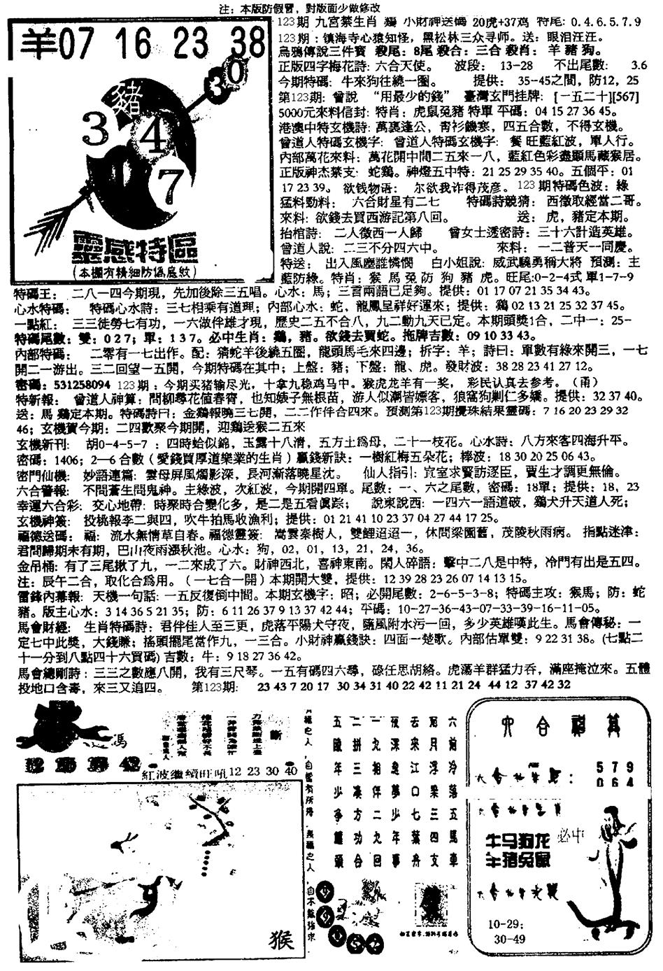 六合彩123期平西版彩霸王B(黑白)