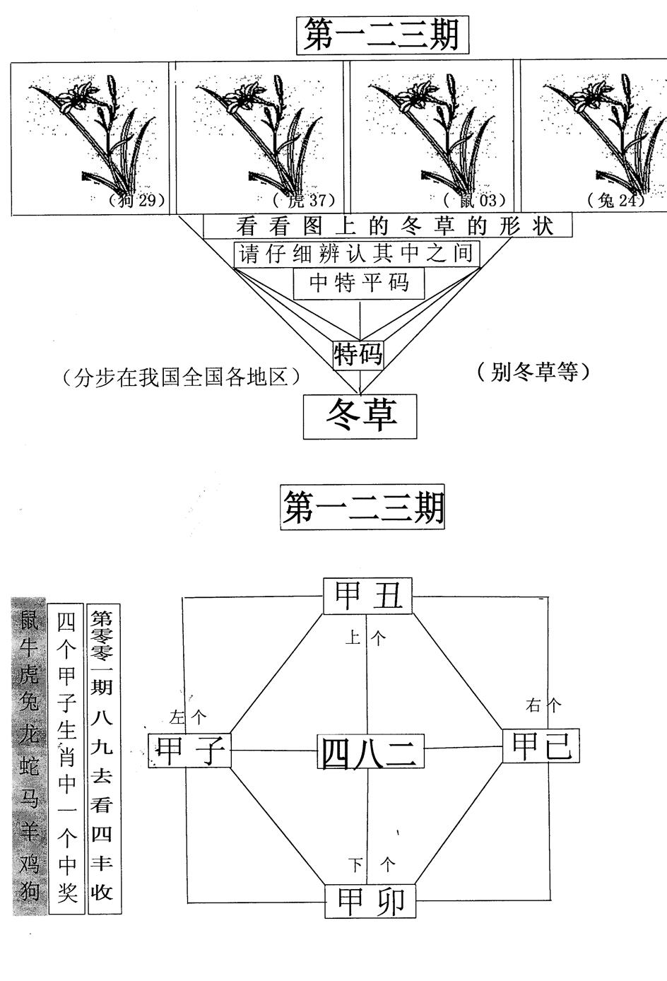 六合彩123期每期一花草(黑白)