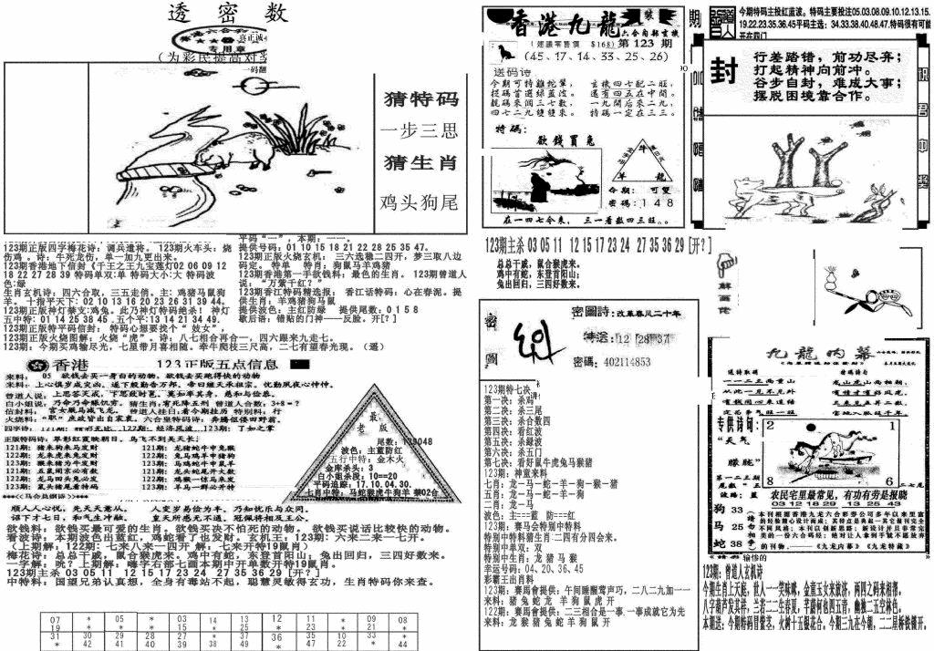 六合彩123期新透密数B(新)(黑白)