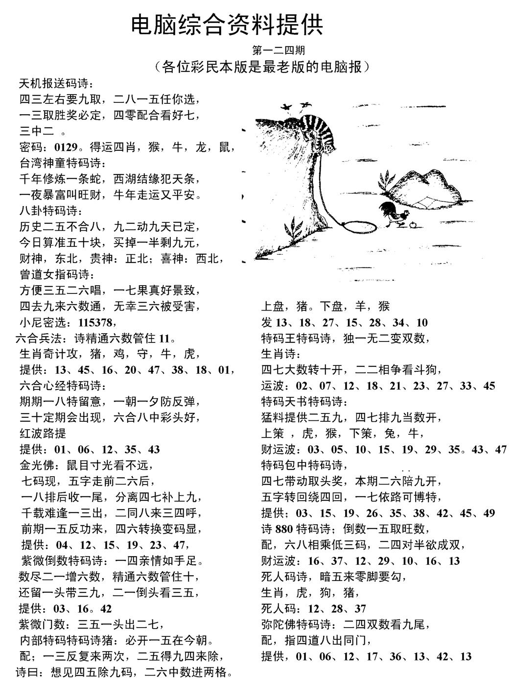 六合彩124期当日电脑综合资料C(黑白)