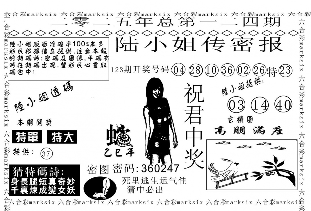 六合彩124期陆小姐传密A(黑白)