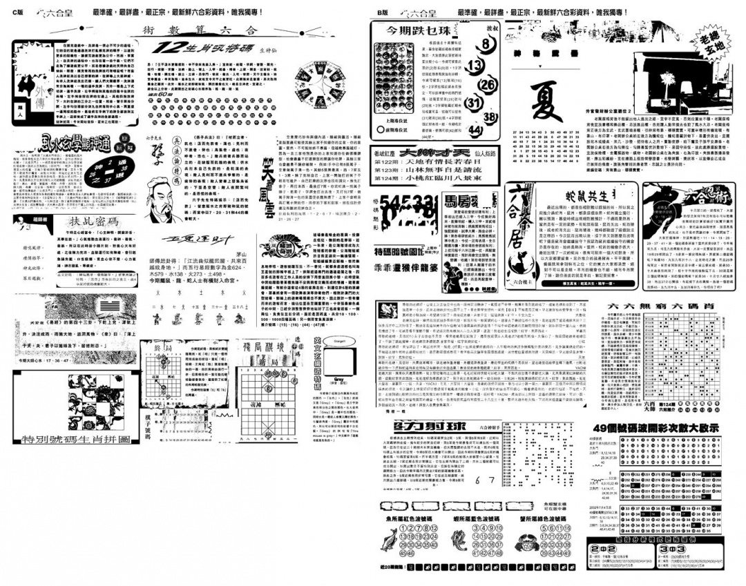 六合彩124期另版六合皇B(黑白)