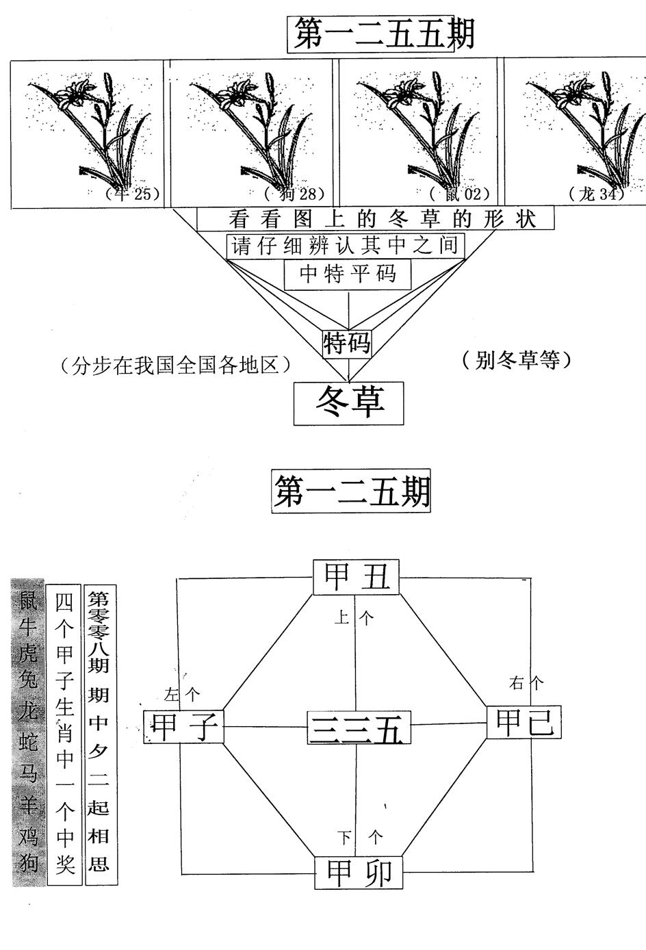 六合彩125期每期一花草(黑白)