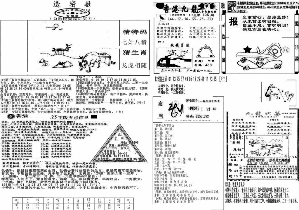六合彩125期新透密数B(新)(黑白)