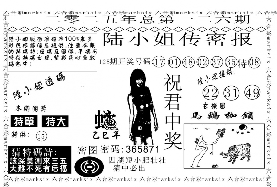 六合彩126期陆小姐传密A(黑白)