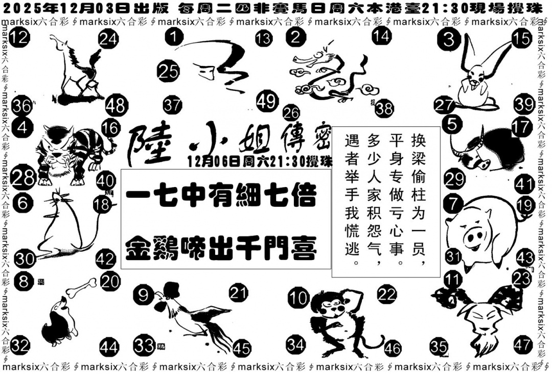 六合彩127期陆小姐传密B(黑白)