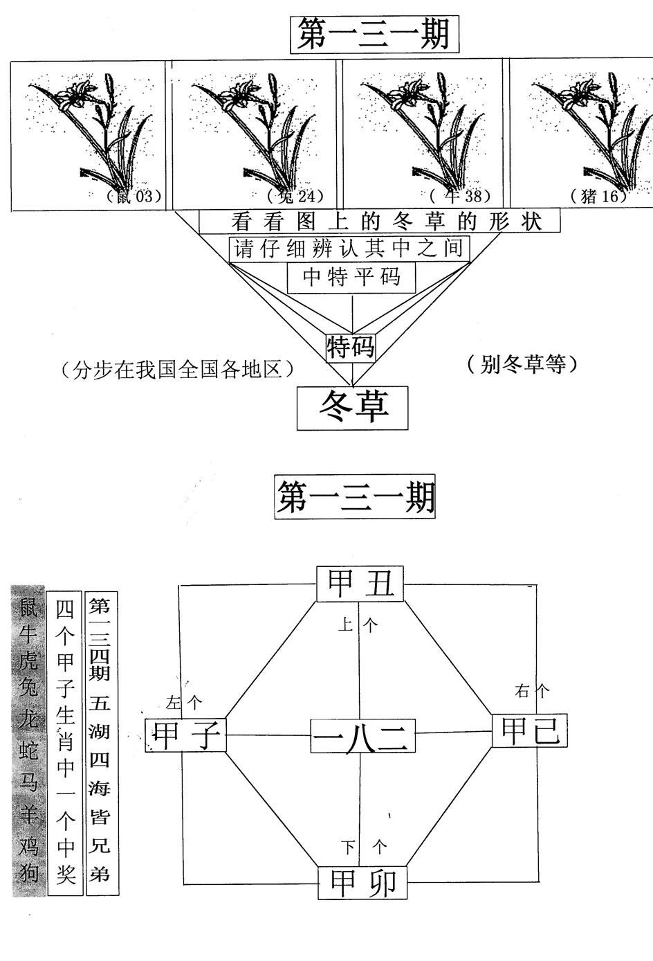 六合彩131期每期一花草(黑白)