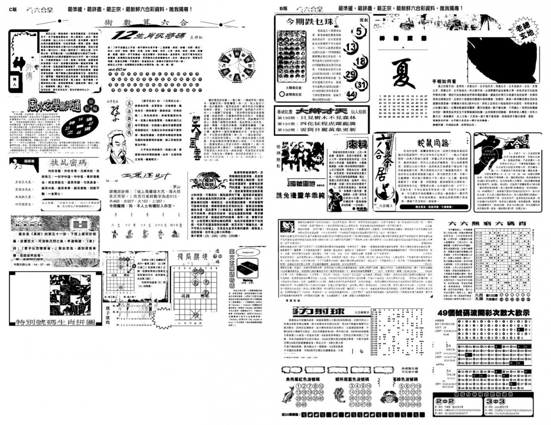 六合彩132期另版六合皇B(黑白)