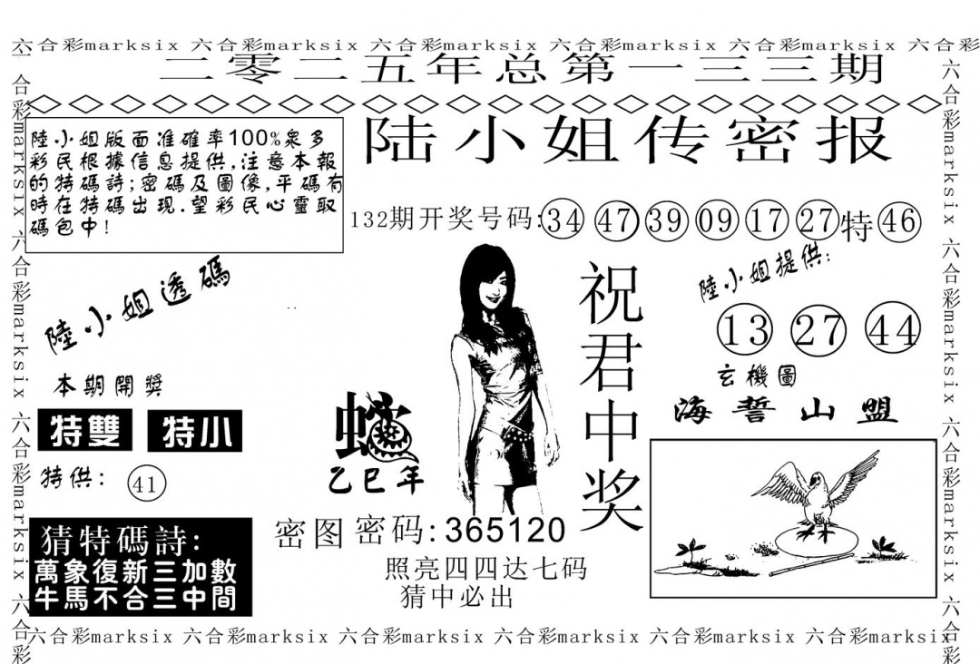 六合彩133期陆小姐传密A(黑白)