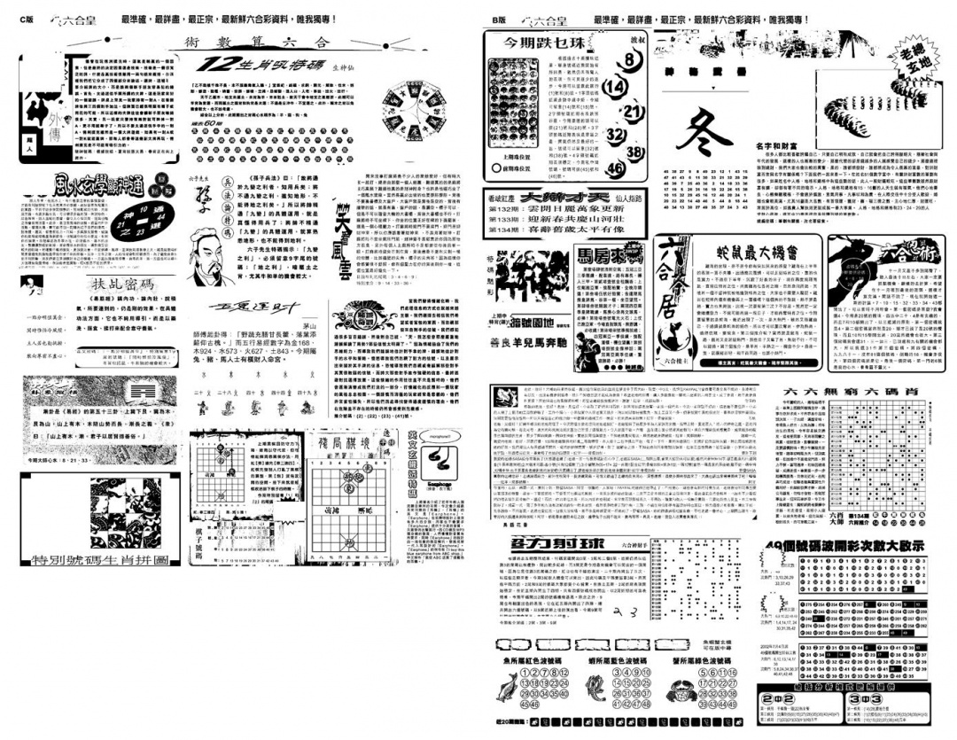 六合彩134期另版六合皇B(黑白)