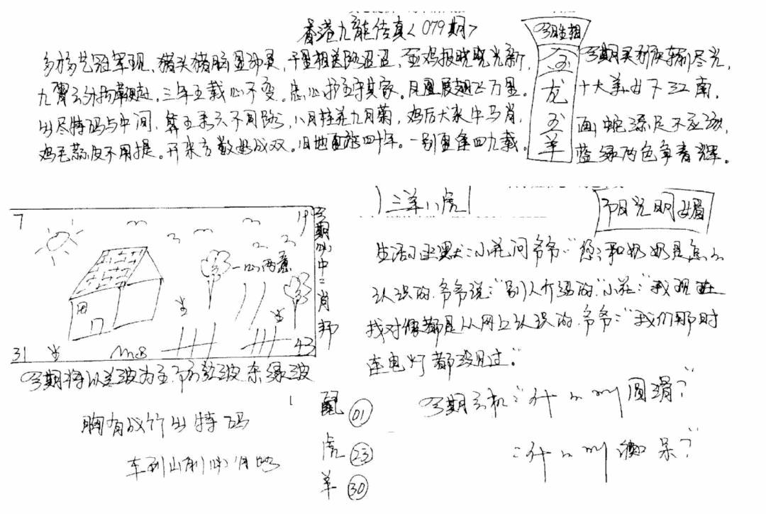 六合彩079期正版手写九龙(黑白)
