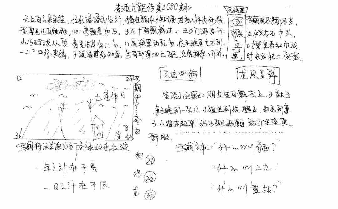 六合彩080期正版手写九龙(黑白)