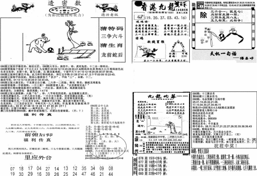 六合彩080期新透密数A(新)(黑白)