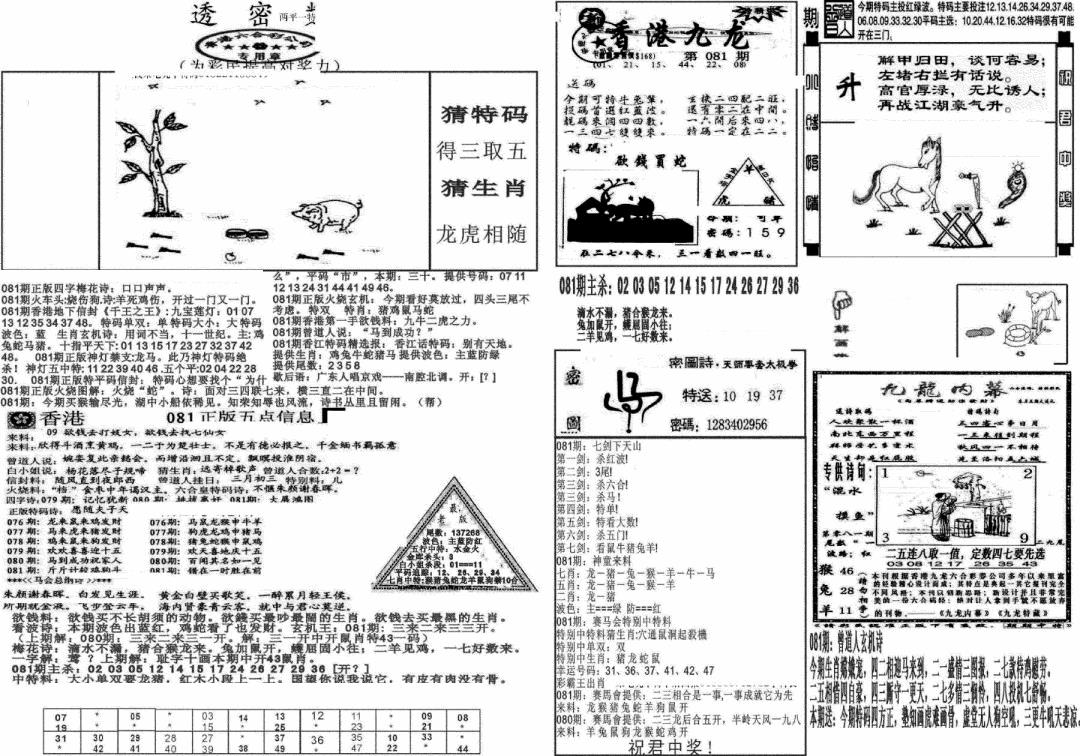 六合彩081期新透密数B(新)(黑白)