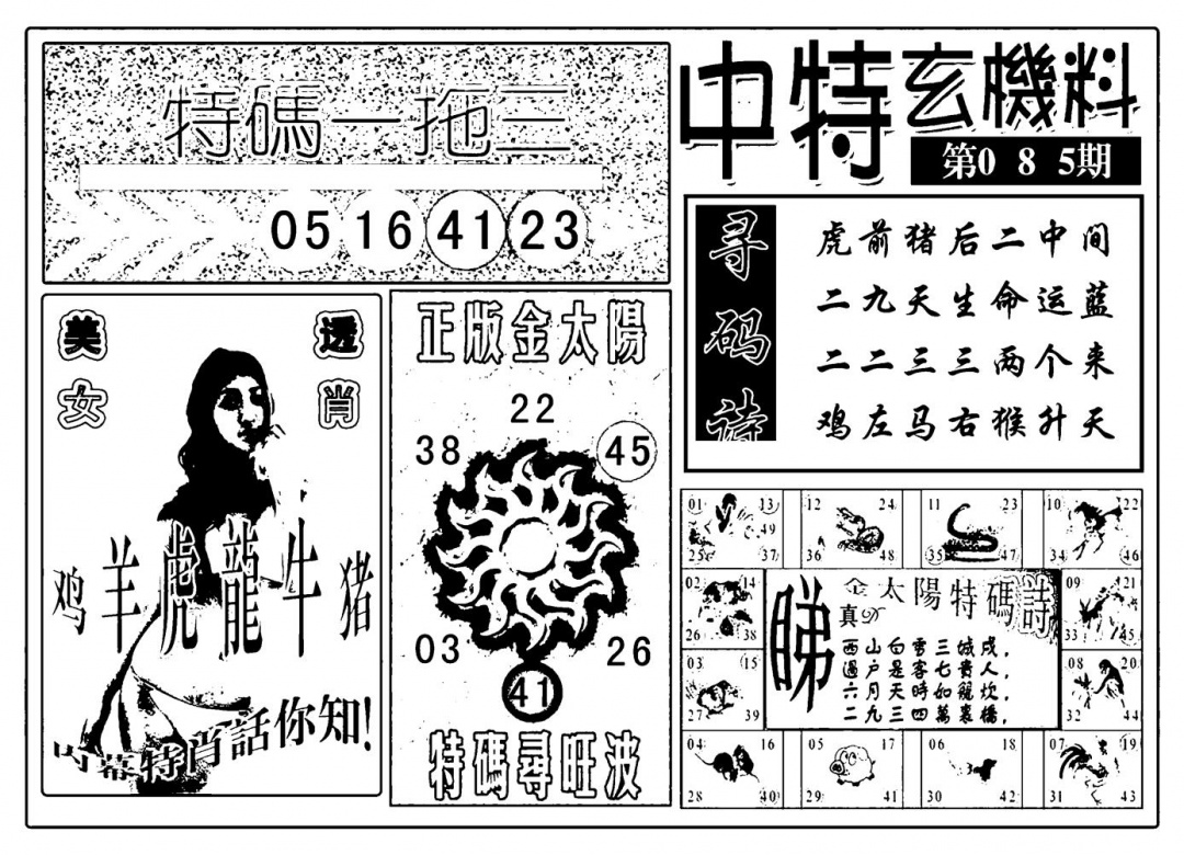 六合彩085期中特玄机料(新图)(黑白)