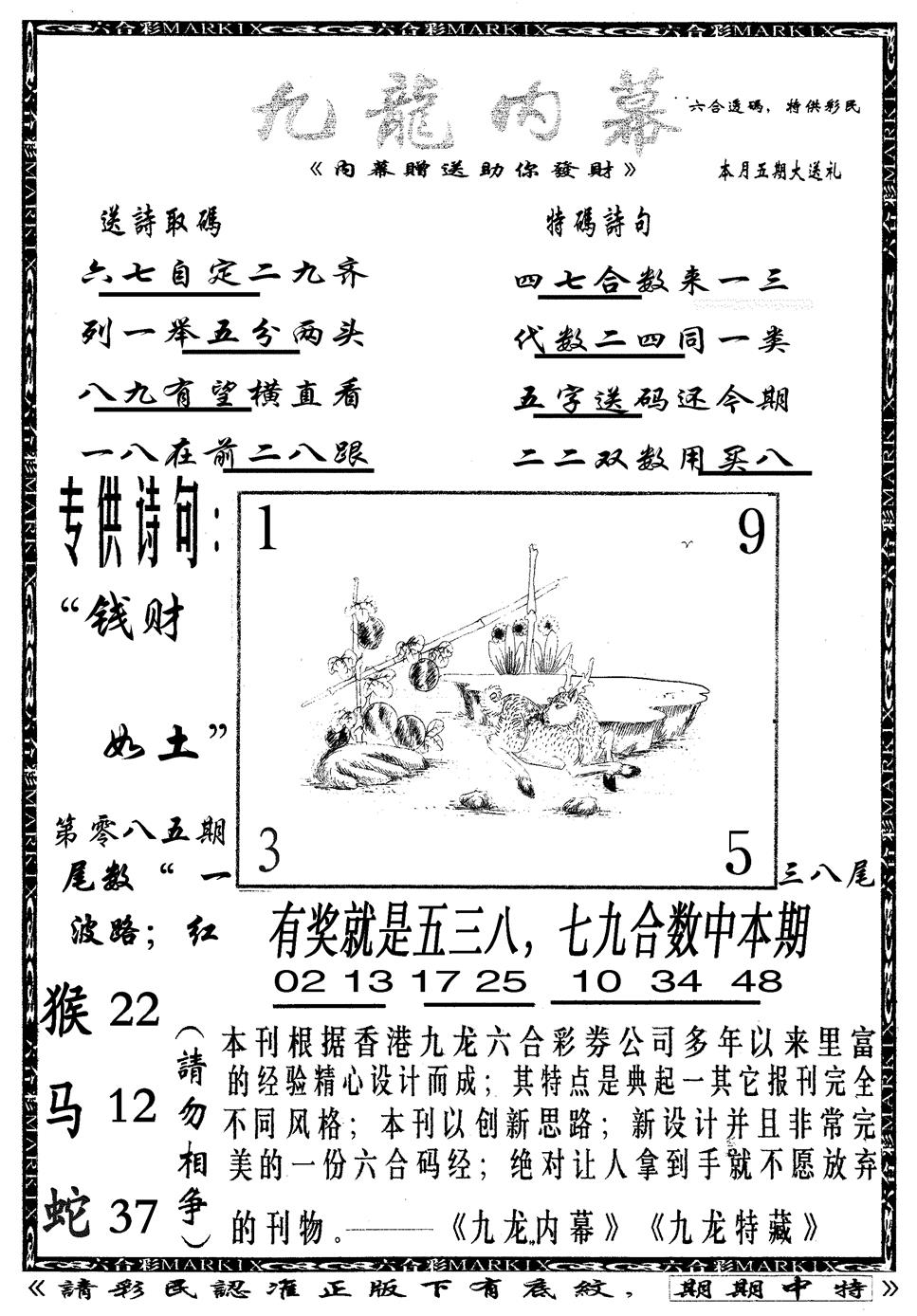六合彩085期九龙内幕B(黑白)