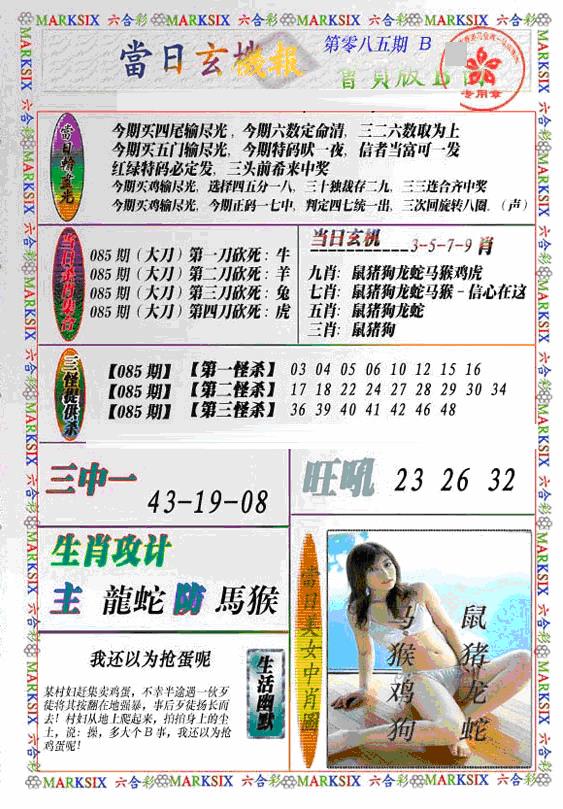 六合彩085期当日特码玄机B(新)(黑白)
