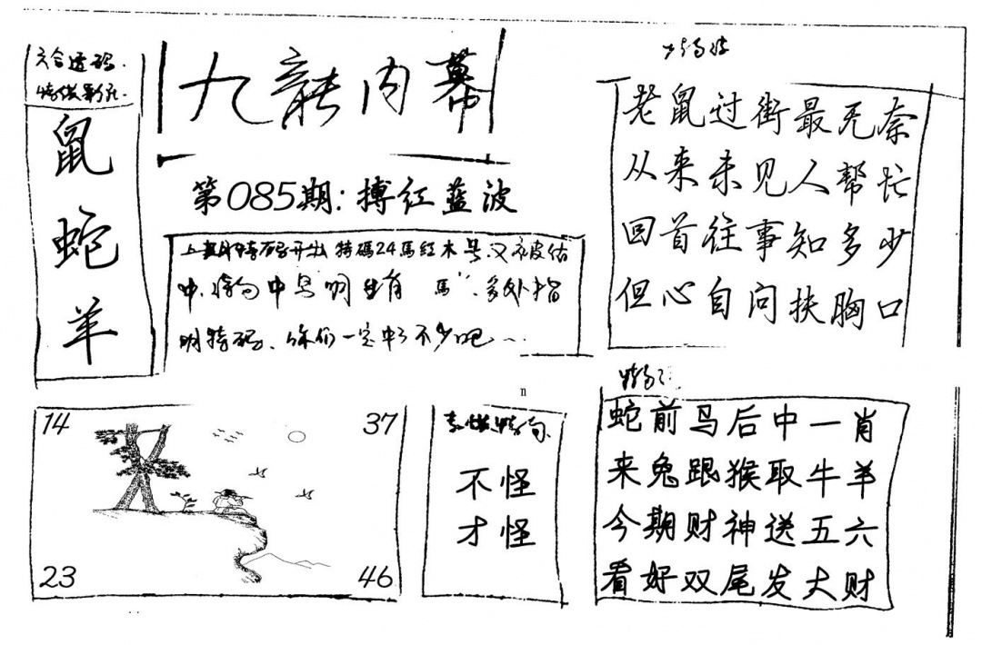 六合彩085期九龙内幕(新图)手写(黑白)