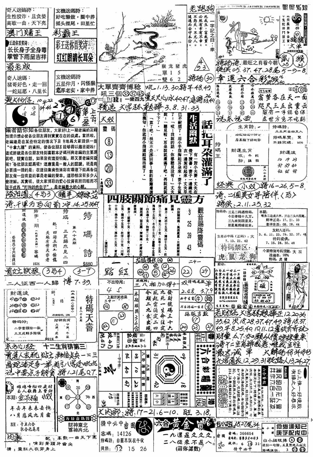 六合彩085期新版手写综合资料B(黑白)