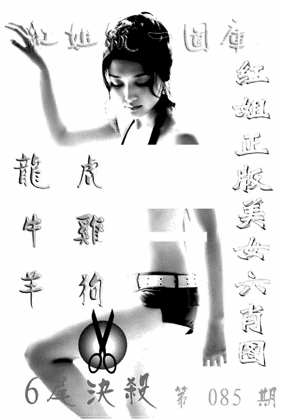 六合彩085期美女六肖报(黑白)