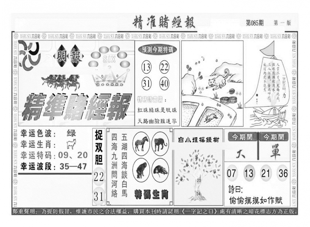 六合彩085期精准赌经报A（新图）(黑白)