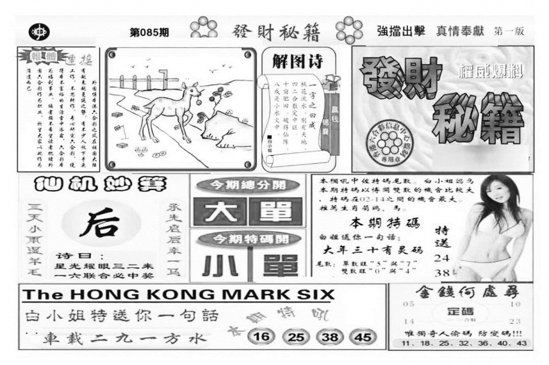 六合彩085期发财秘籍A（新图）(黑白)