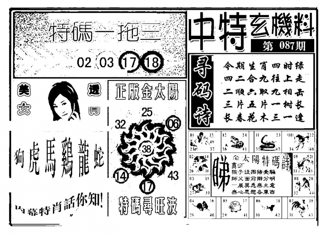 六合彩087期中特玄机料(新图)(黑白)