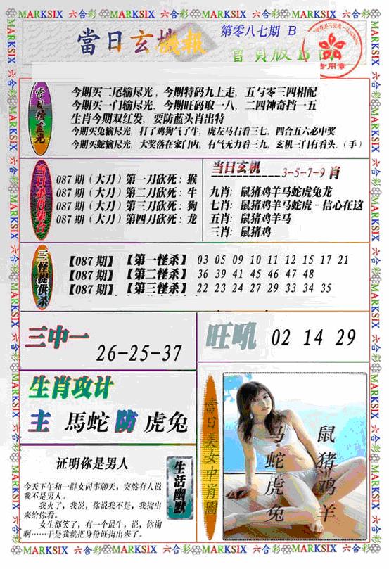 六合彩087期当日特码玄机B(新)(黑白)