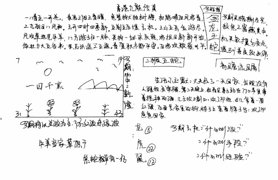 六合彩087期手写九龙内幕B(黑白)