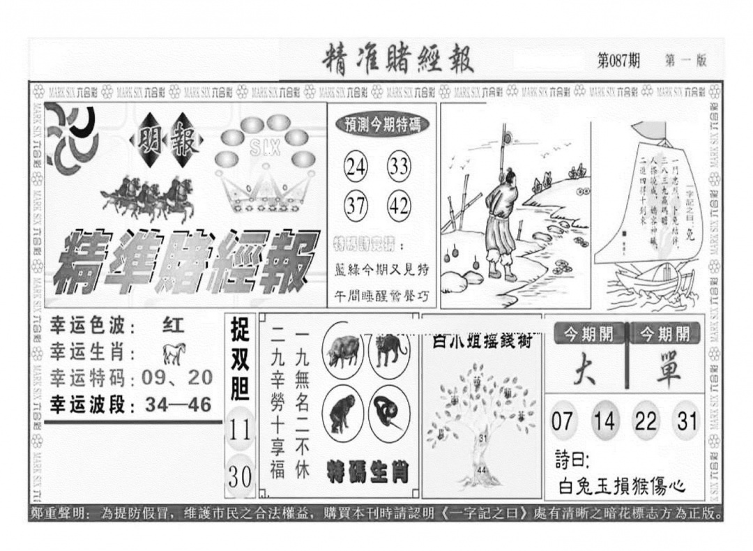 六合彩087期精准赌经报A（新图）(黑白)