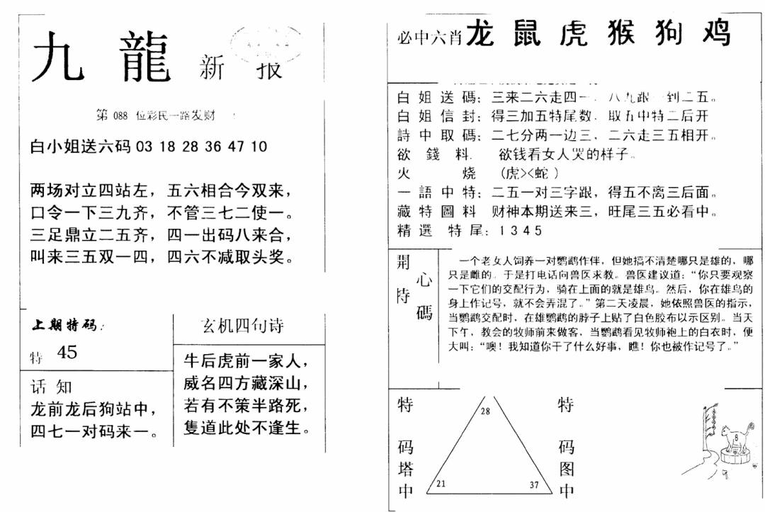 六合彩088期九龙新报(新)(黑白)
