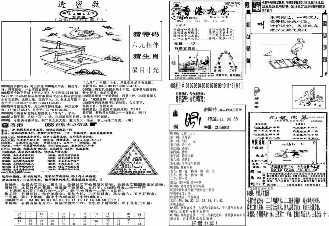 六合彩088期新透密数B(新)(黑白)