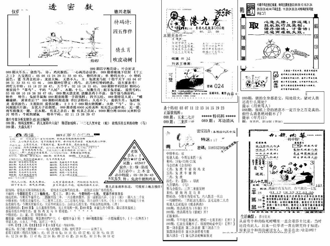 六合彩089期另新透密数A(新)(黑白)