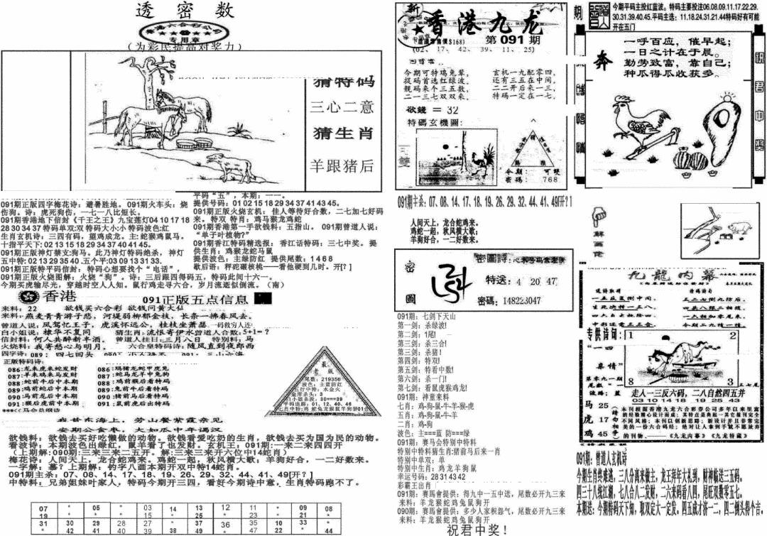 六合彩091期新透密数B(新)(黑白)