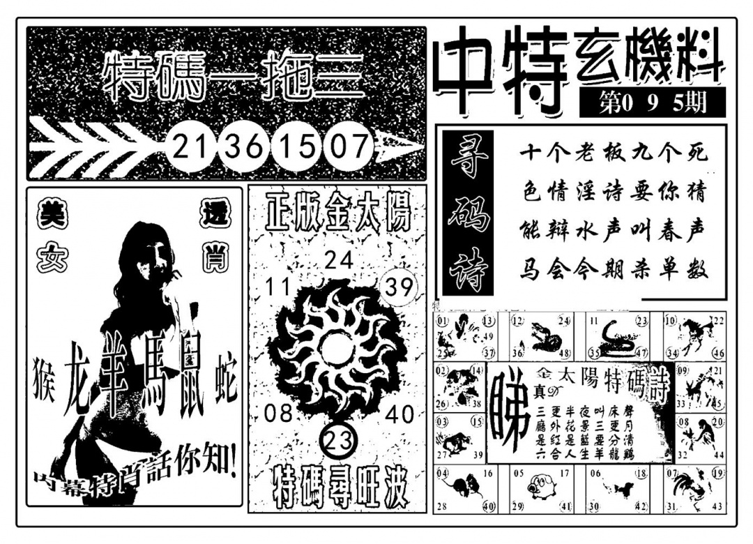 六合彩095期中特玄机料(新图)(黑白)