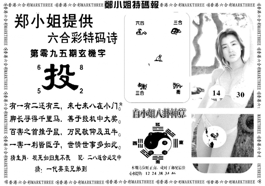 六合彩095期郑小姐特码报B(黑白)